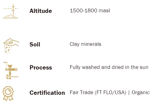 Alt Soil Pro Cert