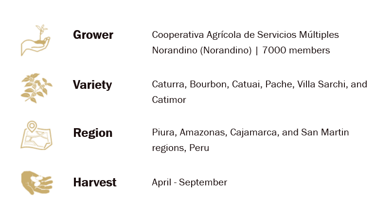 Peru Norandino