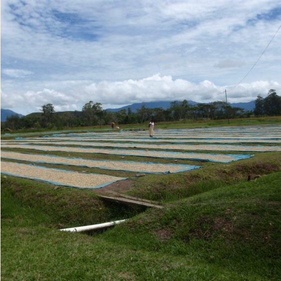 Papua New Guinea