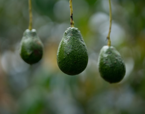 Colombia Nariño