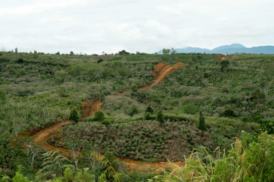 Sumatra Aceh