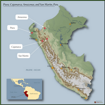 Peru Norandino