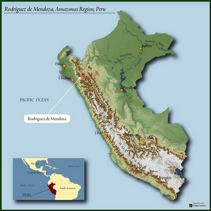 Peru Approcurma