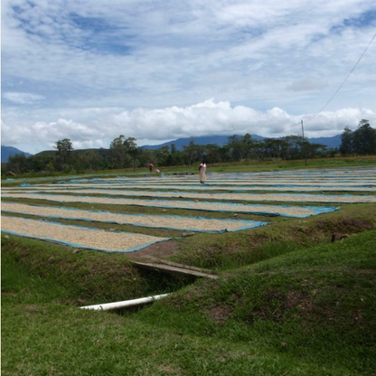Papua New Guinea