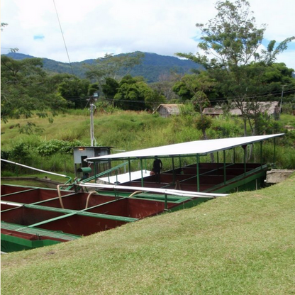 Papua New Guinea