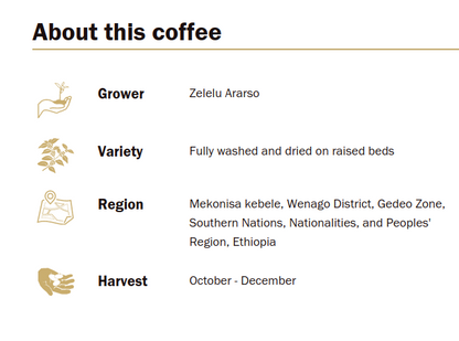 Ethiopia Yirgacheffe (Washed Processed)