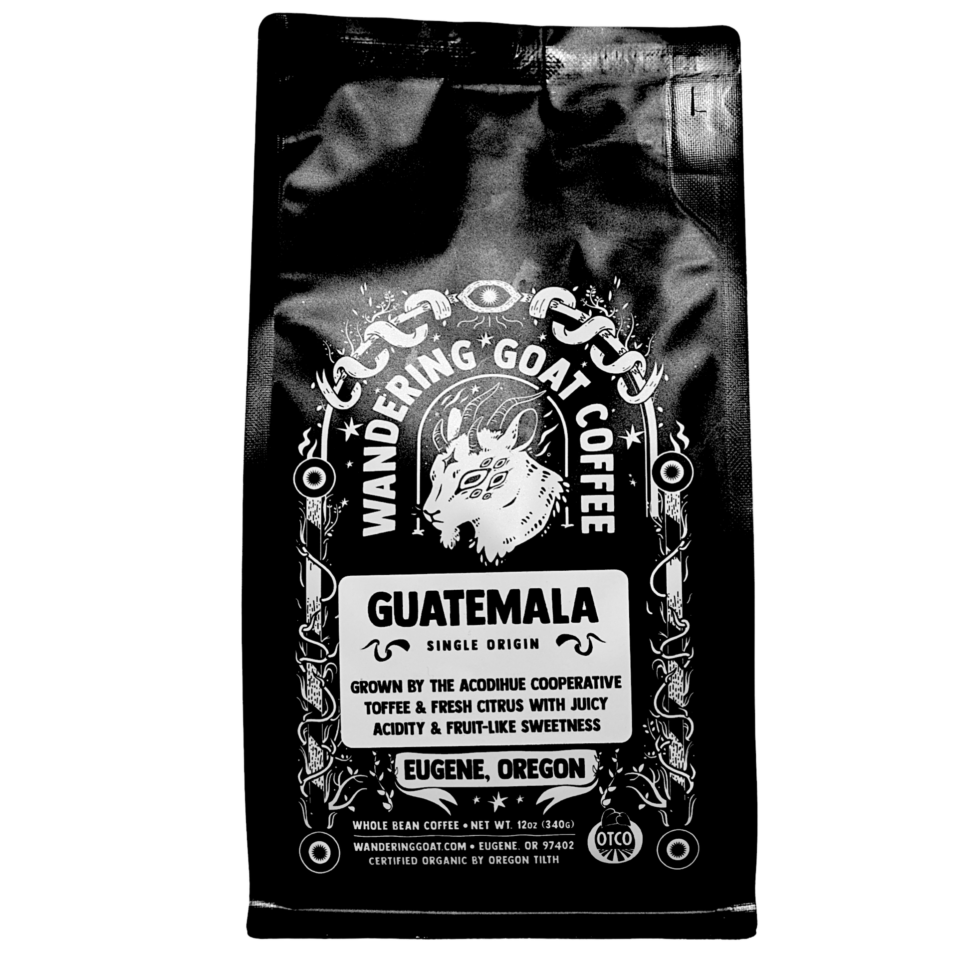 標本 Guatemala Pantodinus klugi 42mm Wandering Goat Coffee - Guatemala Huehuetenango
